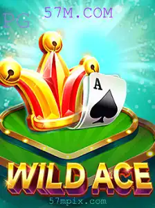 Explorando o Mundo de WildAce: A Nova Sensação de Entretenimento